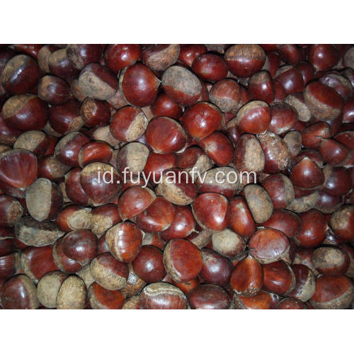 Berbagai Jenis Buah Chestnut